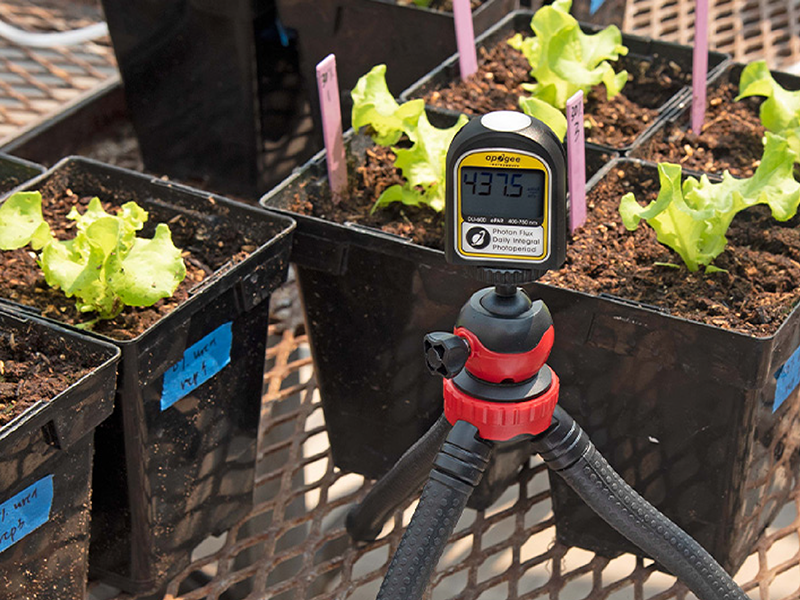 DLI-600: Daily Light Integral and Photoperiod Meter (ePAR)