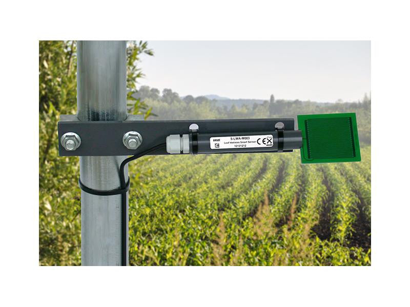 Leaf Wetness Smart Sensor