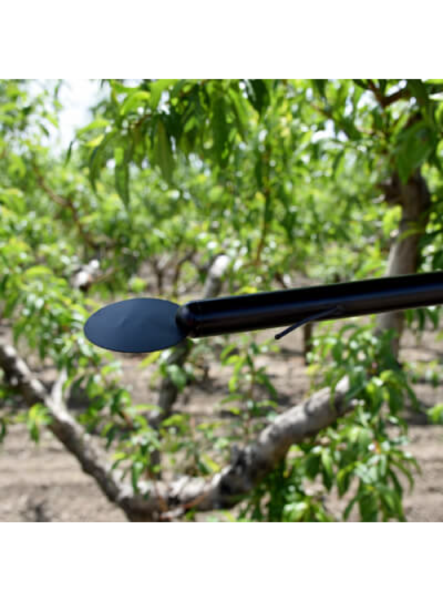 SF-110-SS-Leaf and Bud Temperature Sensor